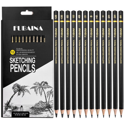 Professional Drawing Sketching Pencil Set, 12 Pieces Art Pencils Graphite Shading Pencils for Beginners & Pro Artists